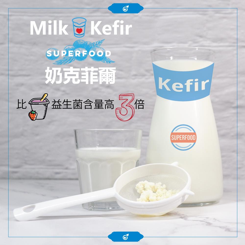 它比乳酪的益生菌含量高3倍- Milk Kefir 奶克菲爾