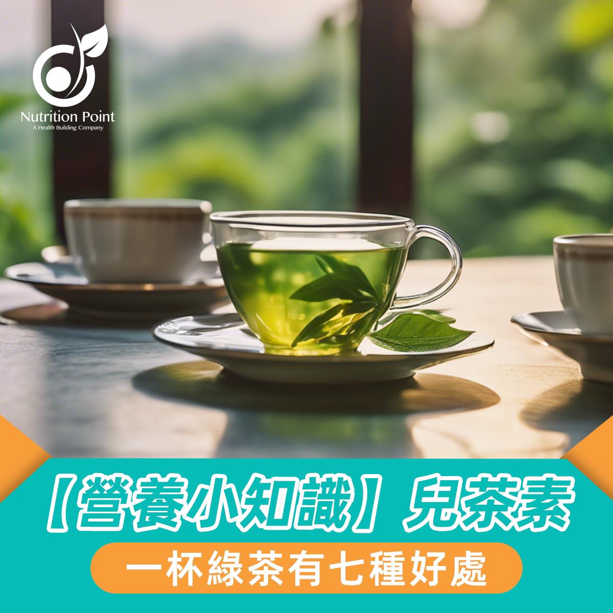 【功能性成份小知識】兒茶素