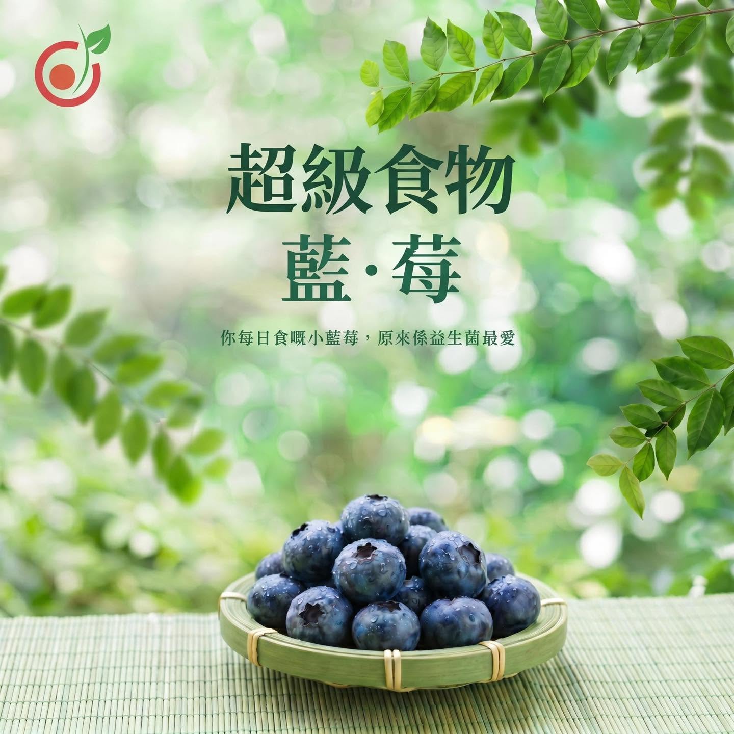 藍莓功效不只抗氧化?研究證實增加腸道益菌!3個超市挑選與食用秘訣 藍莓功效不只抗氧化?研究證實增加腸道益菌!3個超市挑選與食用秘訣